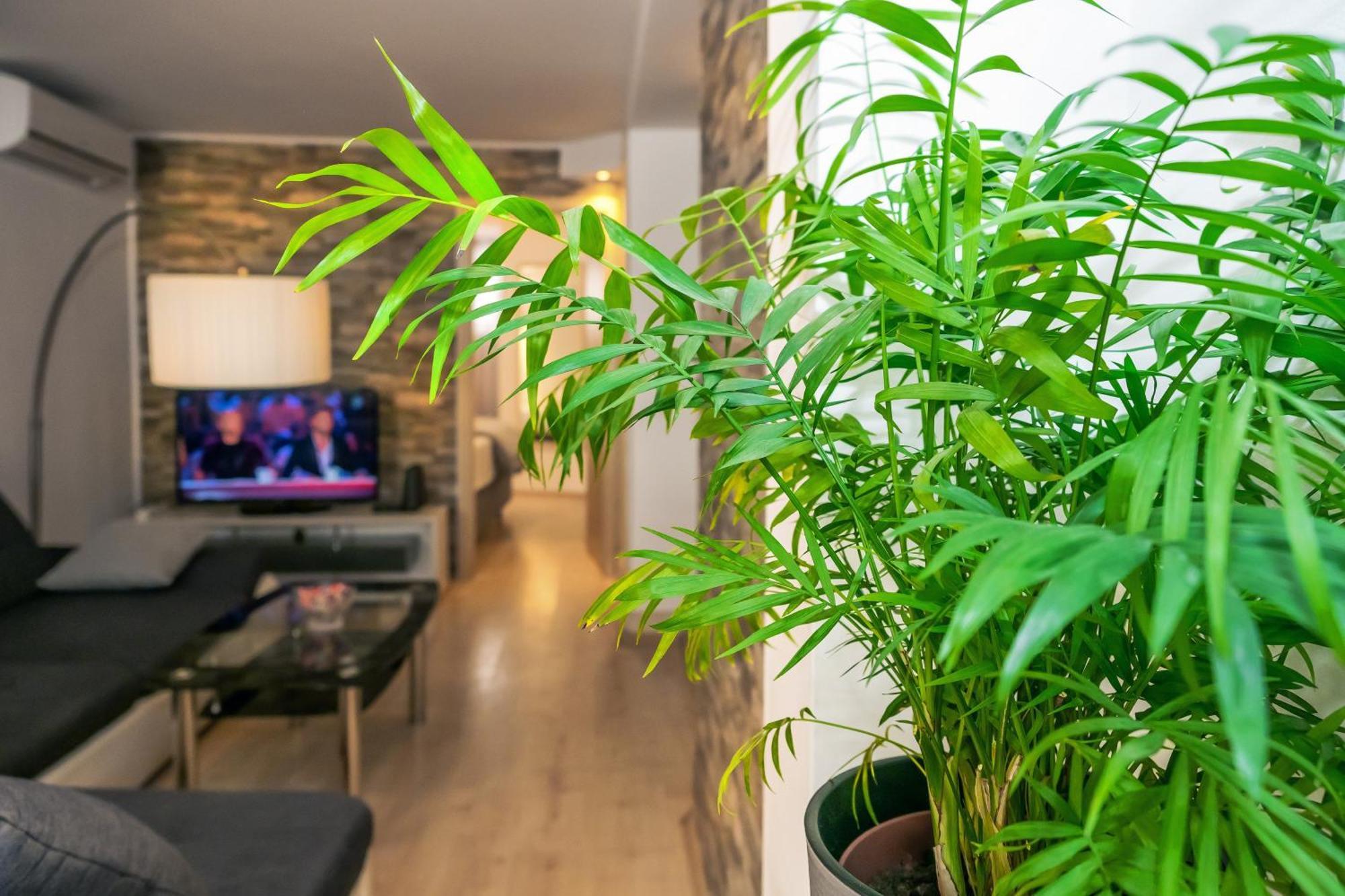Relaxing 2Bd Apartment, Ground Floor - Walk To Old Town Split Exterior foto